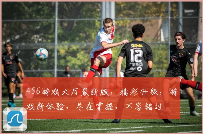 456游戏大厅最新版，精彩升级，游戏新体验，尽在掌握，不容错过