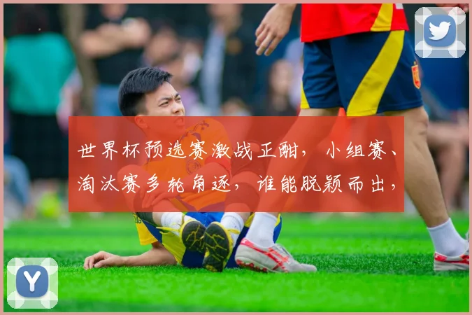 世界杯预选赛激战正酣，小组赛、淘汰赛多轮角逐，谁能脱颖而出，一统江湖