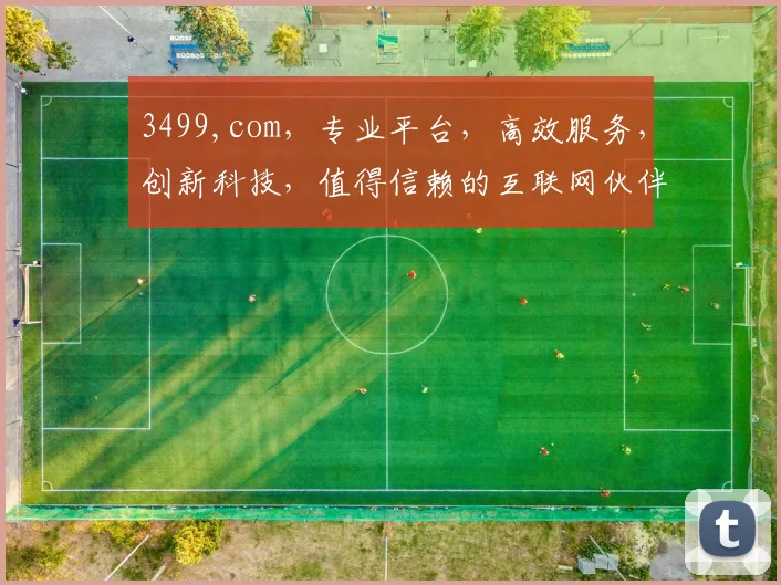 3499,com，专业平台，高效服务，创新科技，值得信赖的互联网伙伴，体验非凡