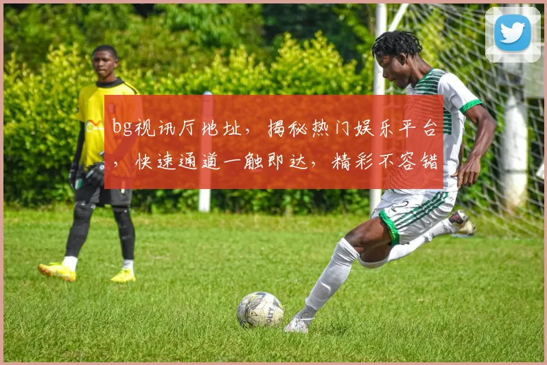 bg视讯厅地址，揭秘热门娱乐平台，快速通道一触即达，精彩不容错过，敬请关注