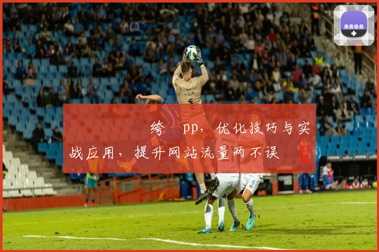 鏋侀€熺數绔瀉pp，优化技巧与实战应用，提升网站流量两不误